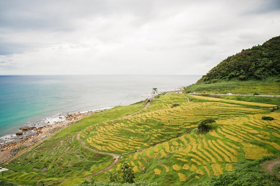 白米千枚田