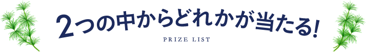 2つの中からどれかが当たる！