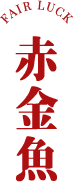 赤金魚