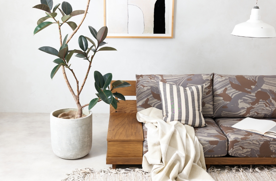 HARY SOFA & MADEIRA SOFA 