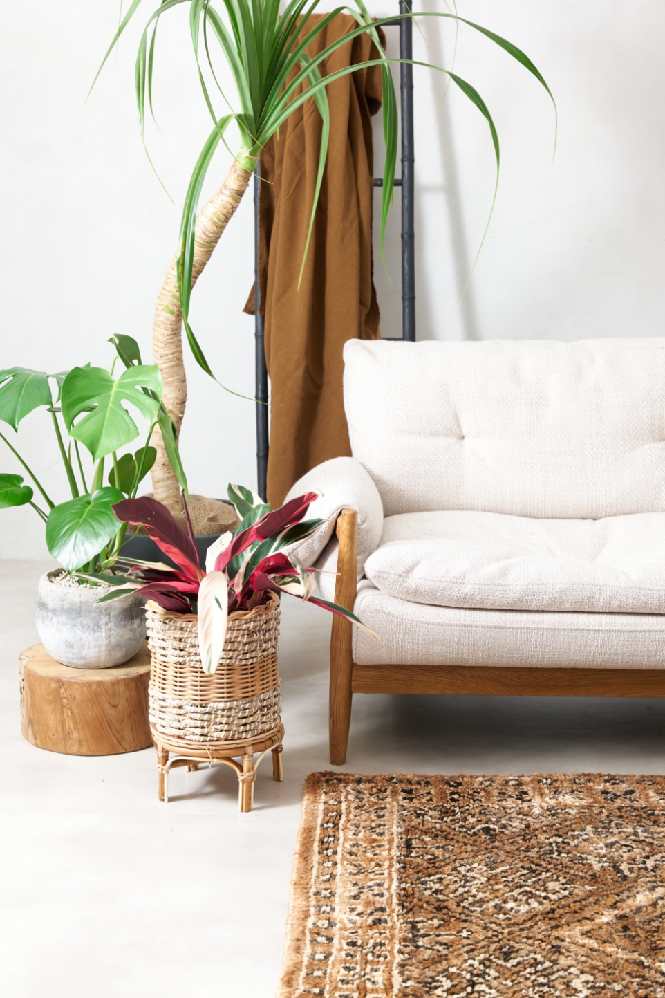 HARY SOFA & MADEIRA SOFA 