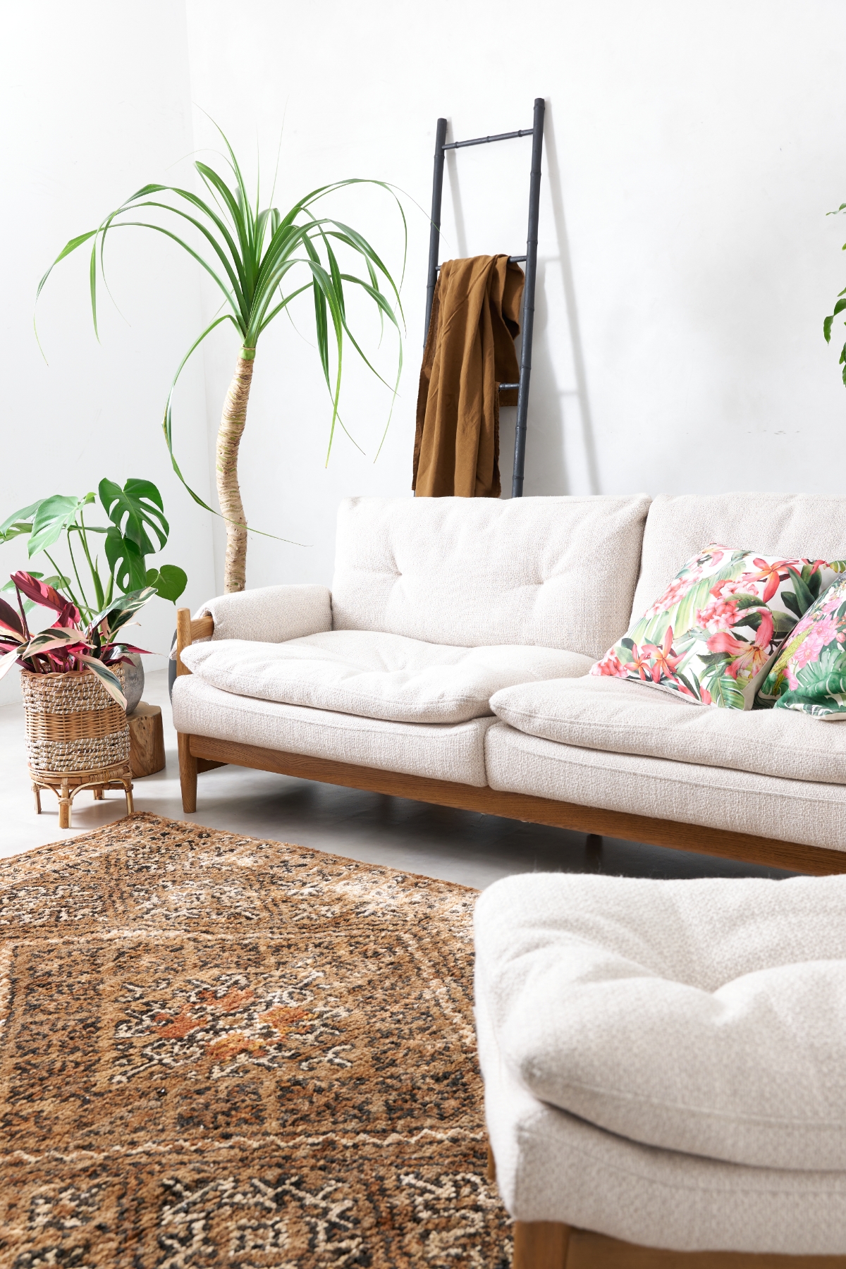 HARY SOFA & MADEIRA SOFA 