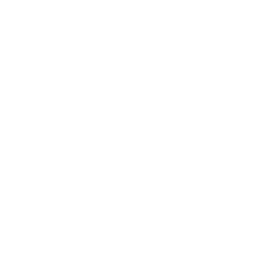 1/1