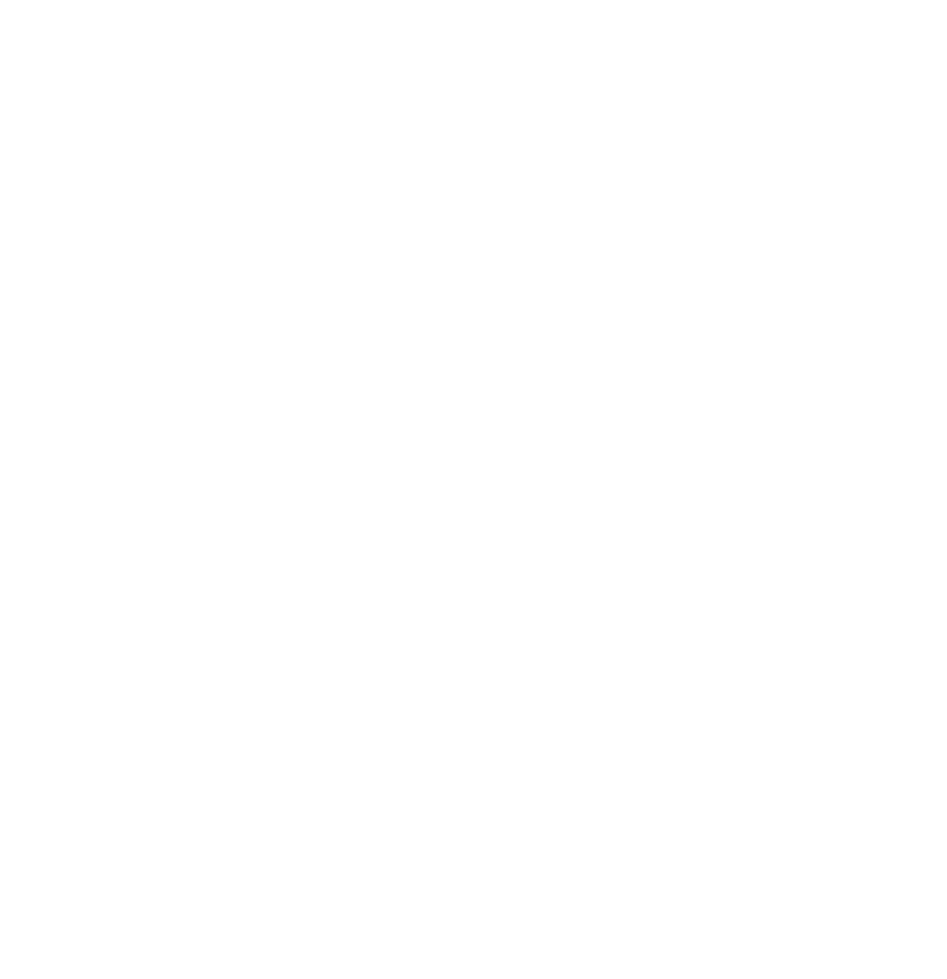 1/1