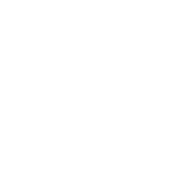 evi’s® 501® Special Item × Mikiko Yano