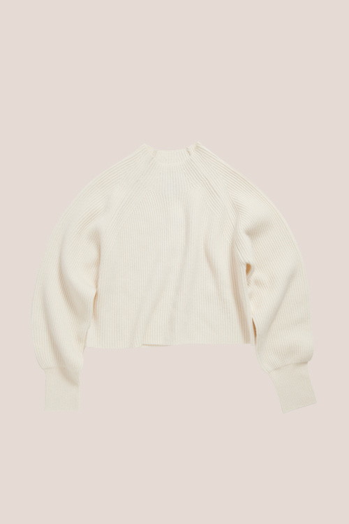 Rib