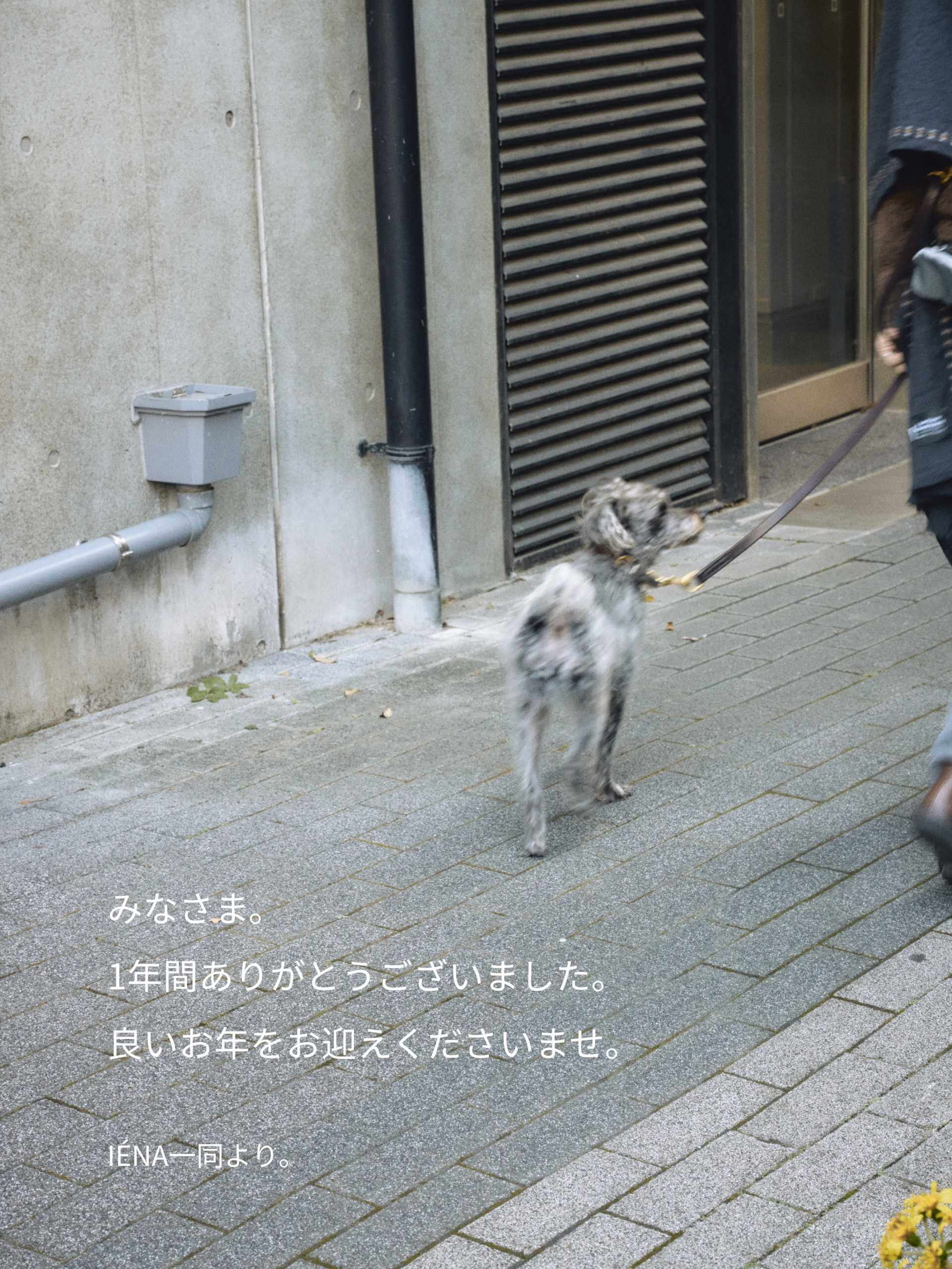 みなさま。1年間ありがとうございました。良いお年をお迎えくださいませ。IÉNA一同より。