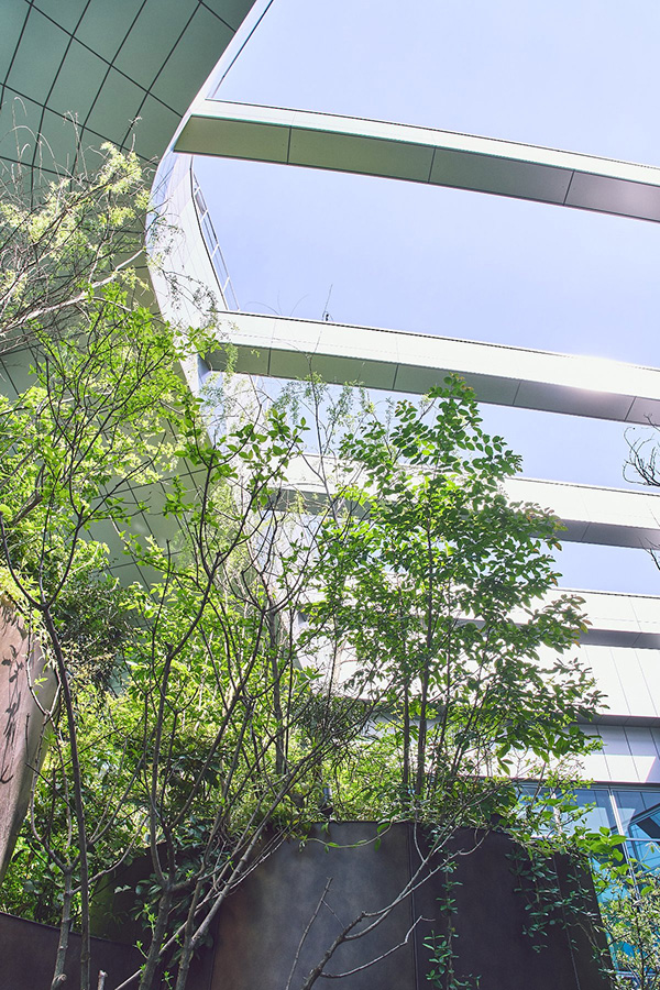 LE TALON / GRISE My favorite spot